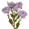 Rose Grenet Everlasting Lavender