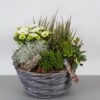 arr. Haveplanter