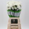 Dianthus standaard Delphi