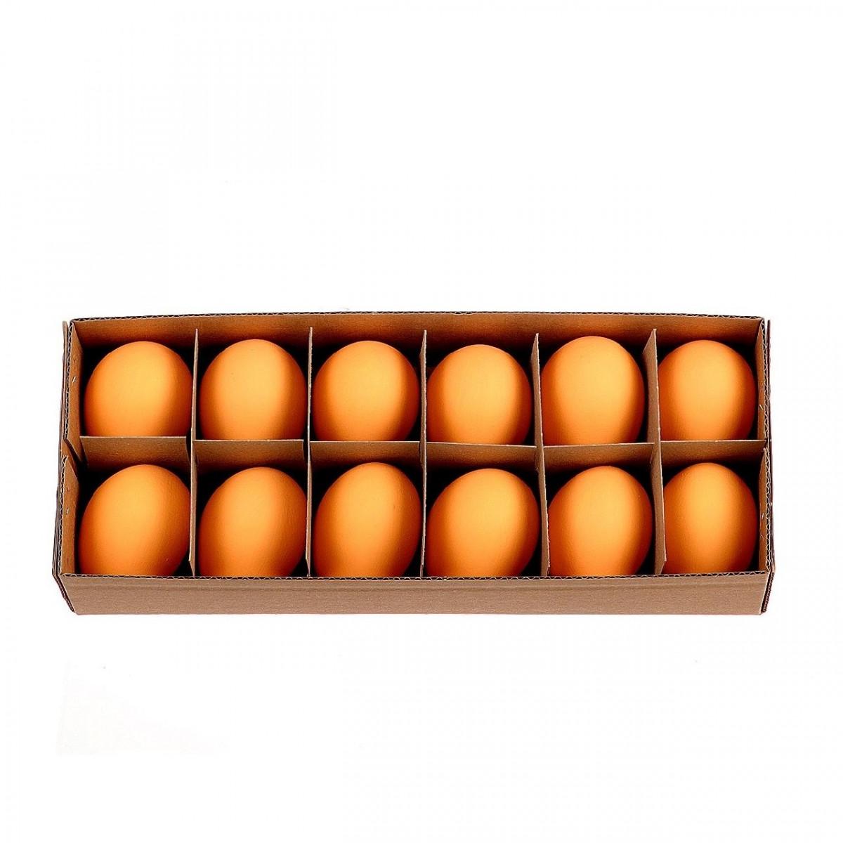 Æg