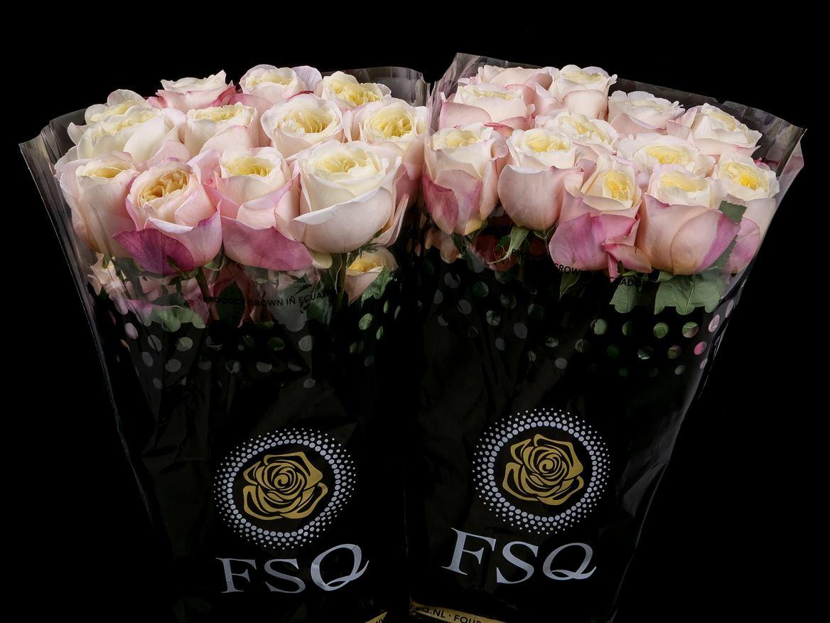 Rosa grootbloemig overig
