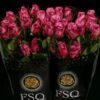 Rosa grootbloemig Moody Blues!