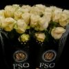 Rosa grootbloemig Mondial