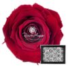 Roser xs præserveret 12 stk.