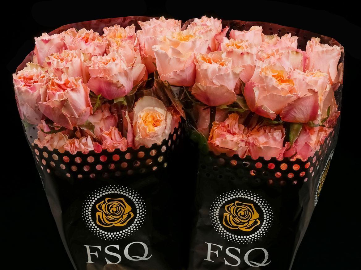 Rosa grootbloemig overig