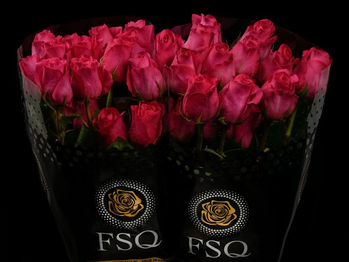 Rosa grootbloemig Pink Floyd!