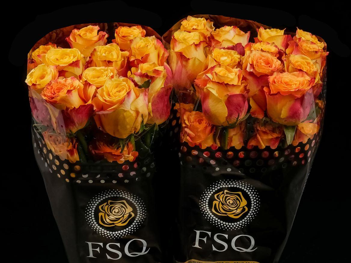 Rosa grootbloemig Silantoi@