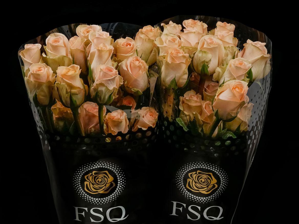 Rosa grootbloemig overig