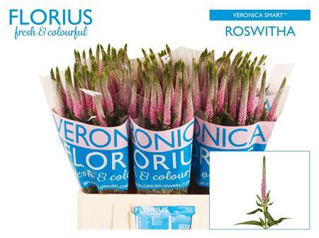 Veronica Smart Roswitha