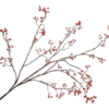 Berry Spray Orange 133cm