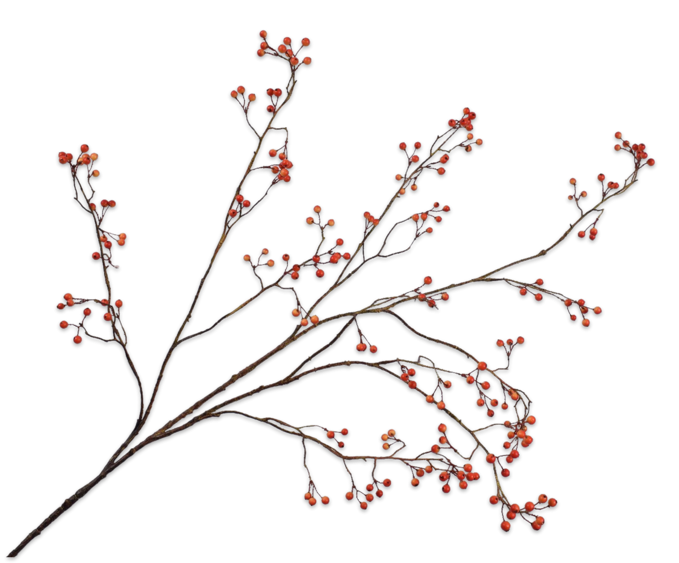Berry Spray Orange 133cm