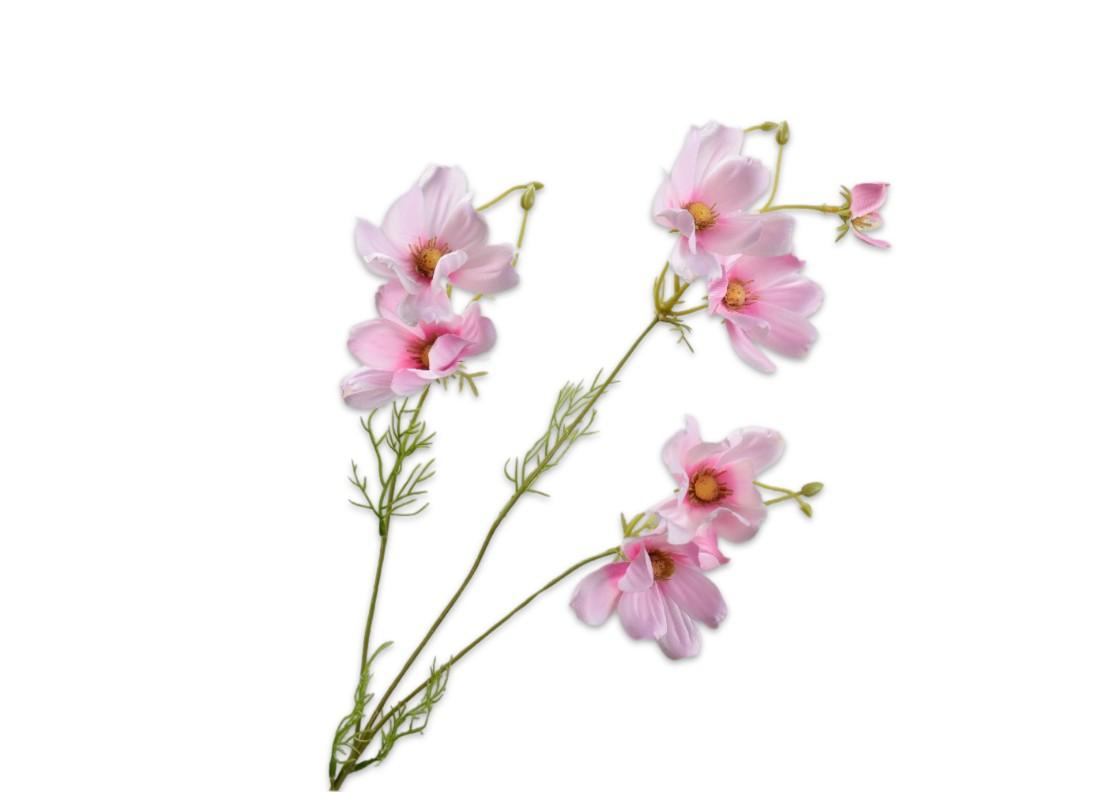 Cosmos Spray, Pale Pink 56 cm / Silkeblomst