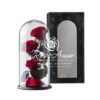 Roser Præserveret