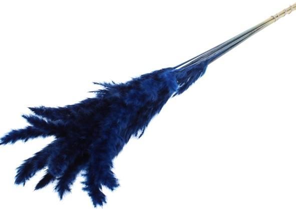 Pampas Farvet Tørret