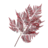 Bregne Spray / Silkeblomst