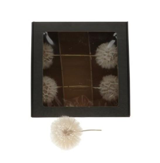 Stem Dandelion Natur 5 stk