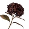 Hydrangea Spray, Mørkebrun 67 cm / Silkeblomst