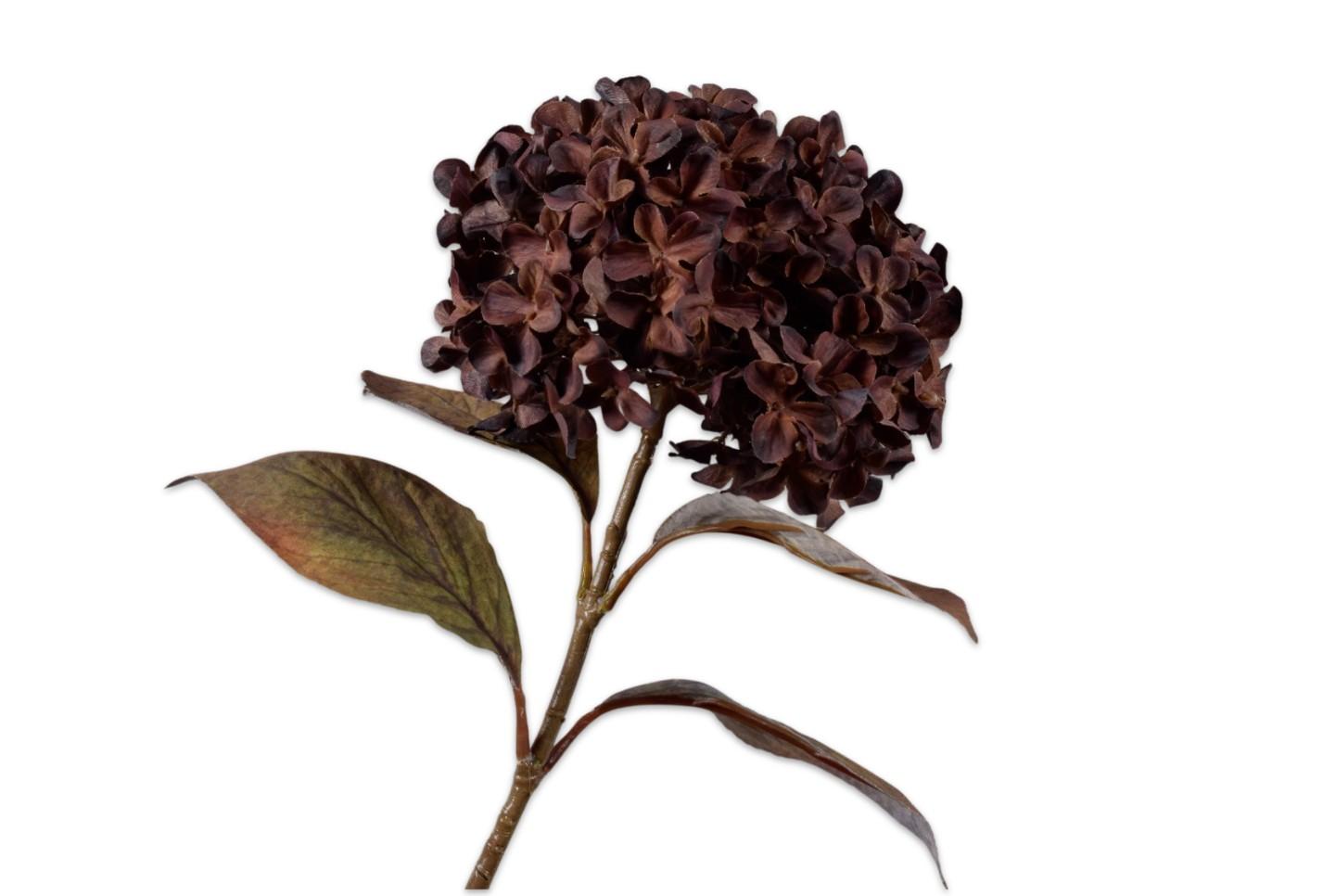 Hydrangea Spray, Mørkebrun 67 cm / Silkeblomst
