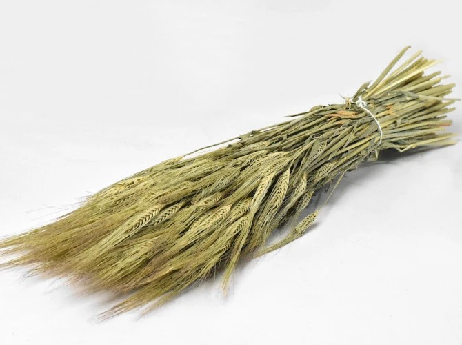 Barley Tørret