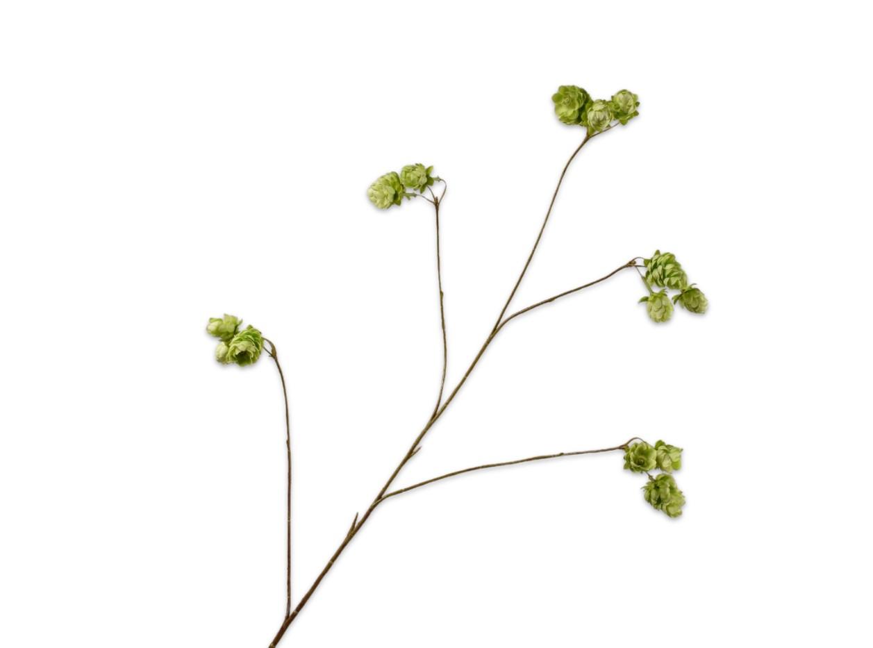 Hop Spray Spray, Grøn 77 cm / Silkeblomst