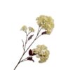 Snowball Spray, Grøn 69 cm / Silkeblomst