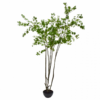 GRØN PLANTE 250 CM