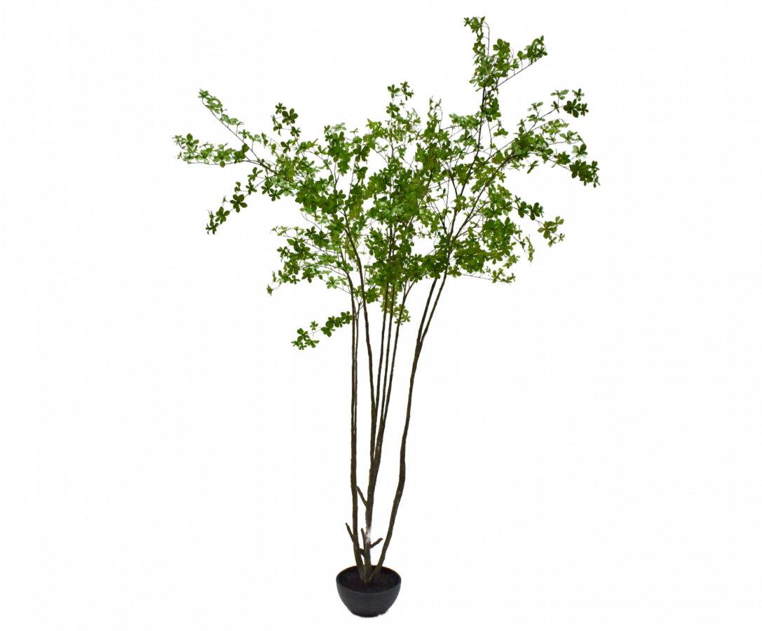 GRØN PLANTE 250 CM