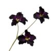 Pansy Spray, Bordeaux 65 cm / Silkeblomst