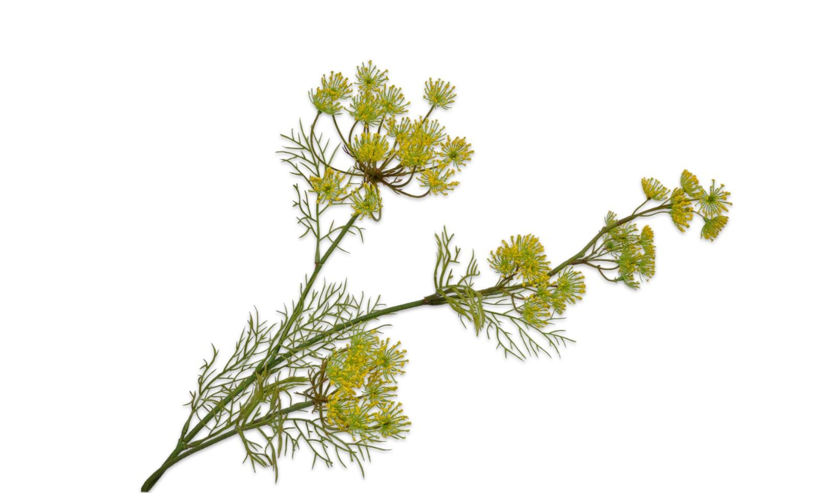 Queen An Lace Spray, Gul 84 cm / Silkeblomst