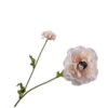 Ranunculus Spray, Creme 63cm / Silkeblomster