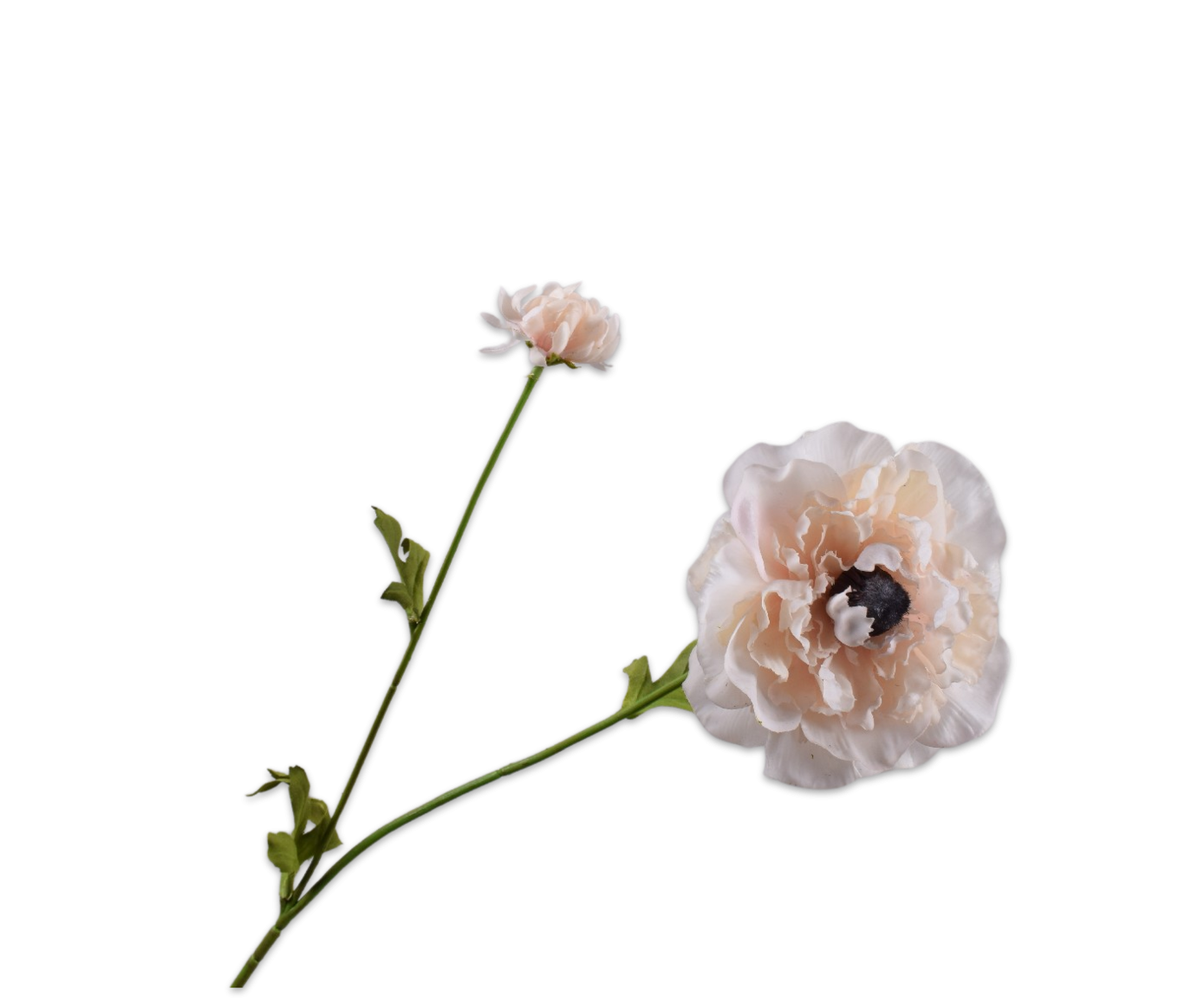 Ranunculus Spray, Creme 63cm / Silkeblomster