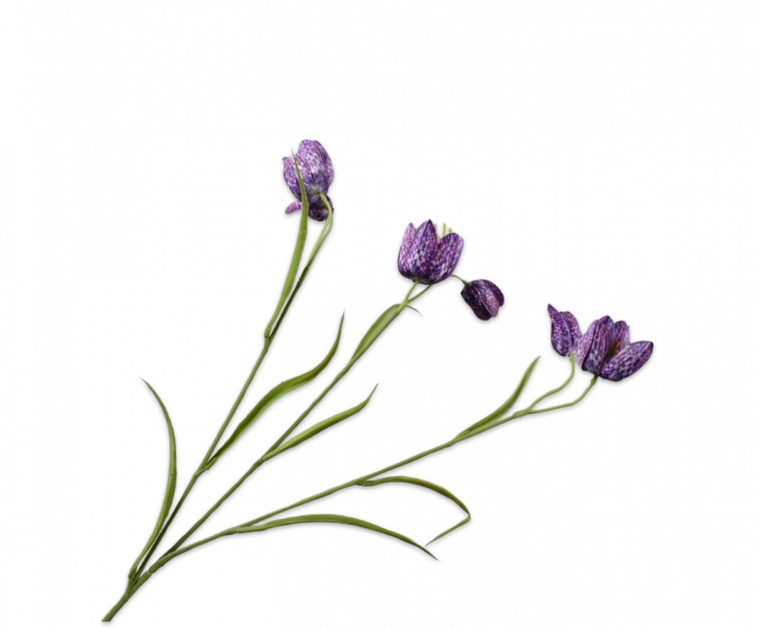 Peony spray