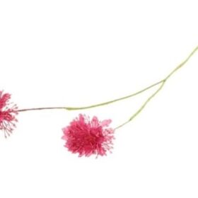 Stem Scabiosa Bordeaux 61 cm / Silkeblomst