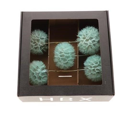 Stem Dandelion 5 stk