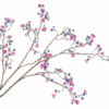 Delphinium Stem / Silkeblomst