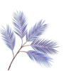 Bregne / Silkeblomst