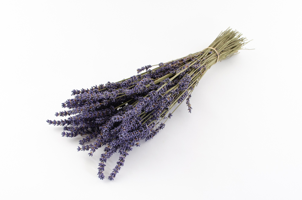 Lavendel Tørret