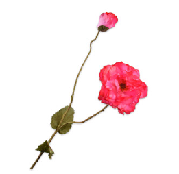 Poppy Spray Beauty / Silkeblomst