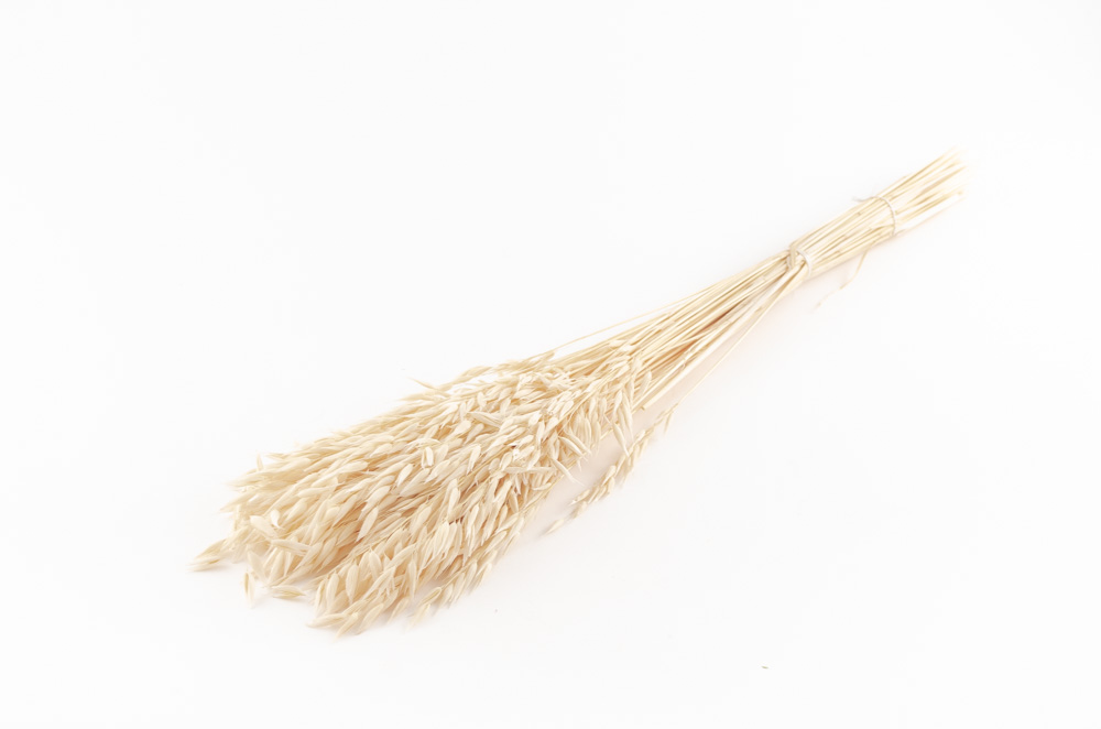 Korn Avena Bleached Tørret