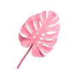 Monstera Leaf Pink / Silkeblomst