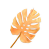 Monstera Leaf Yellow / Silkeblomst