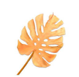 Monstera Leaf Yellow / Silkeblomst