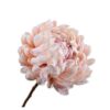 Chrysanthemum Spray, Pale Pink 64 cm / Silkeblomst