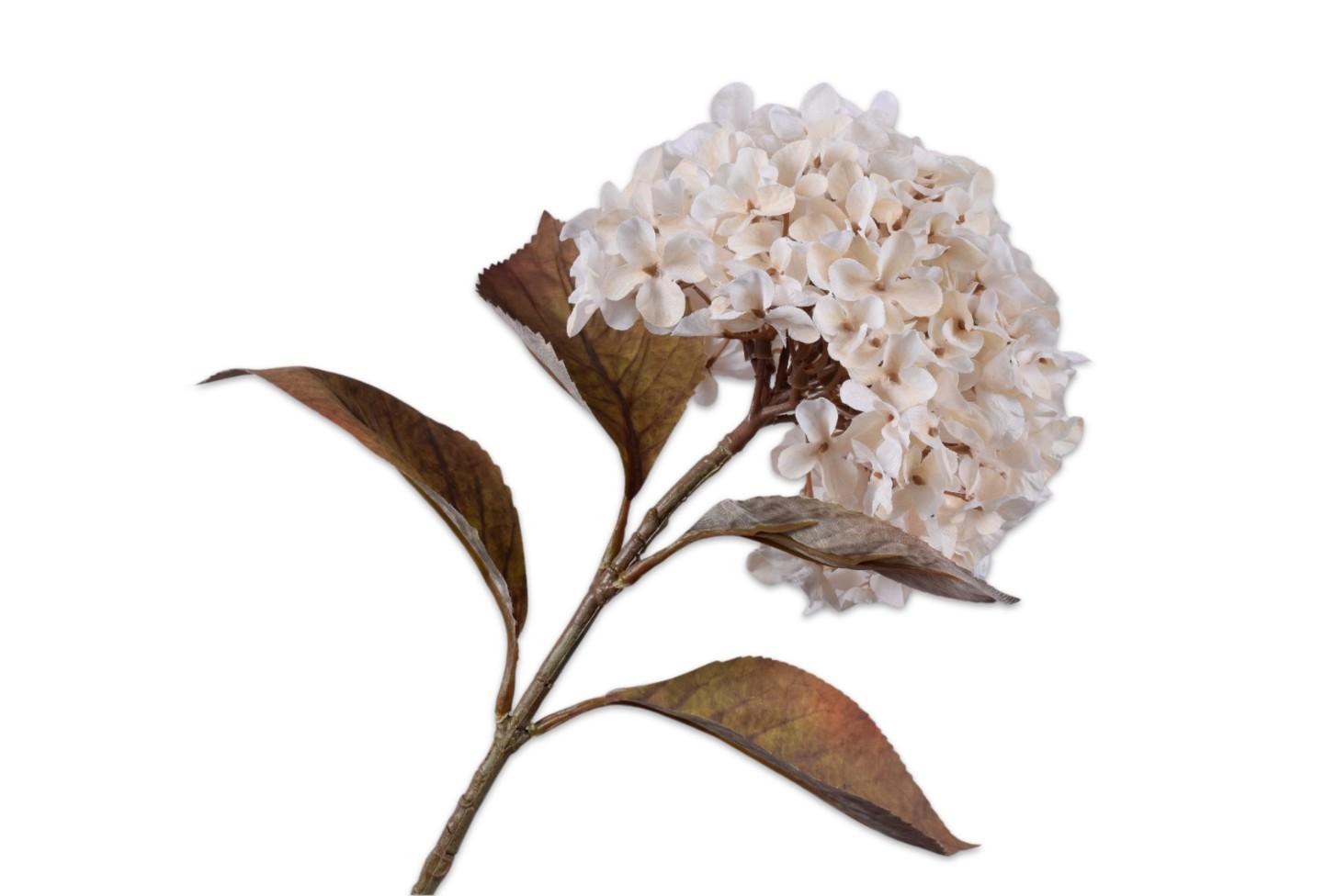 Hydrangea Spray, Cream 67 cm / Silkeblomst