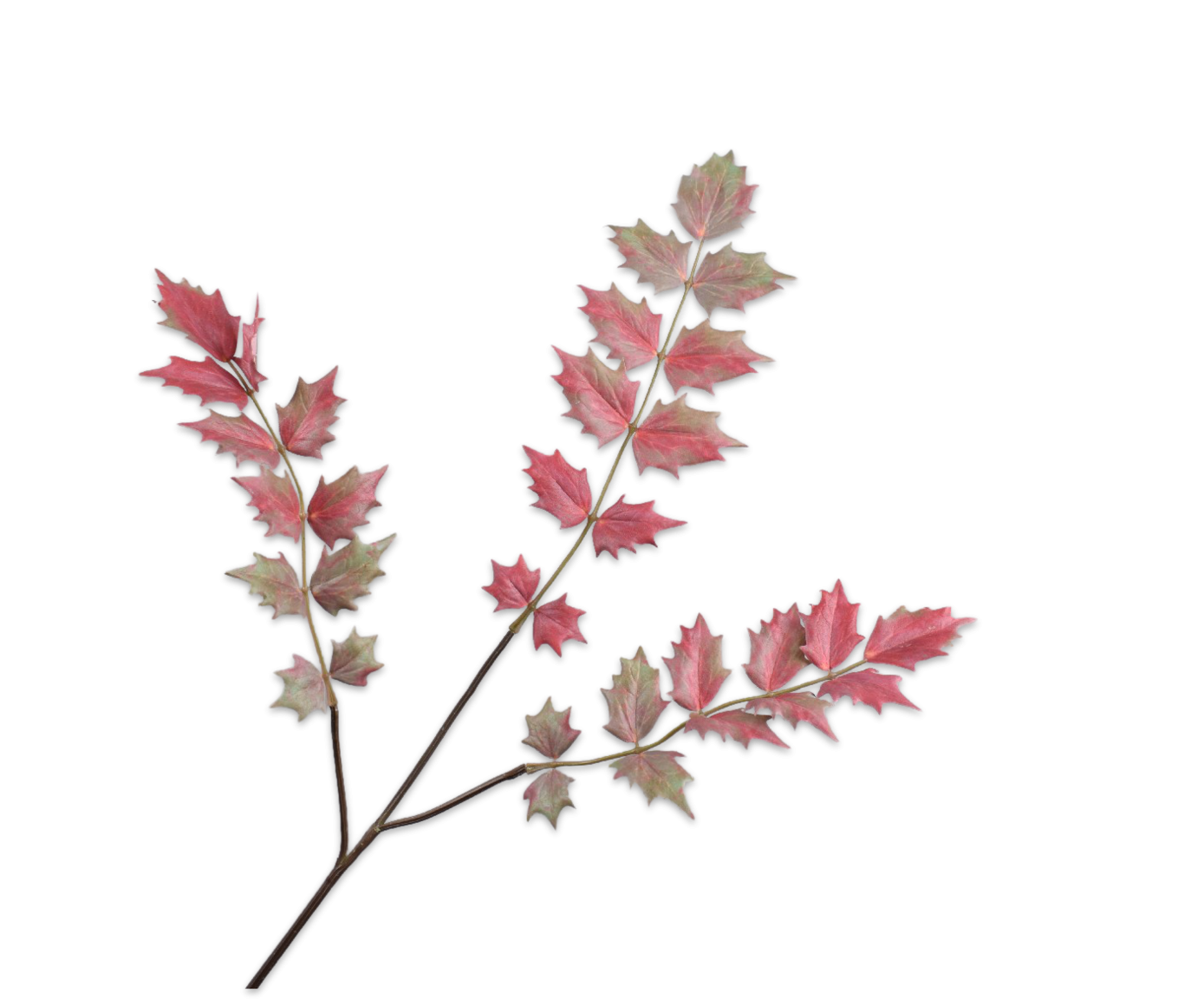 Ilex Rød/Grøn 79cm
