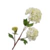 Snowball Spray, Cream 68 cm / Silkeblomst