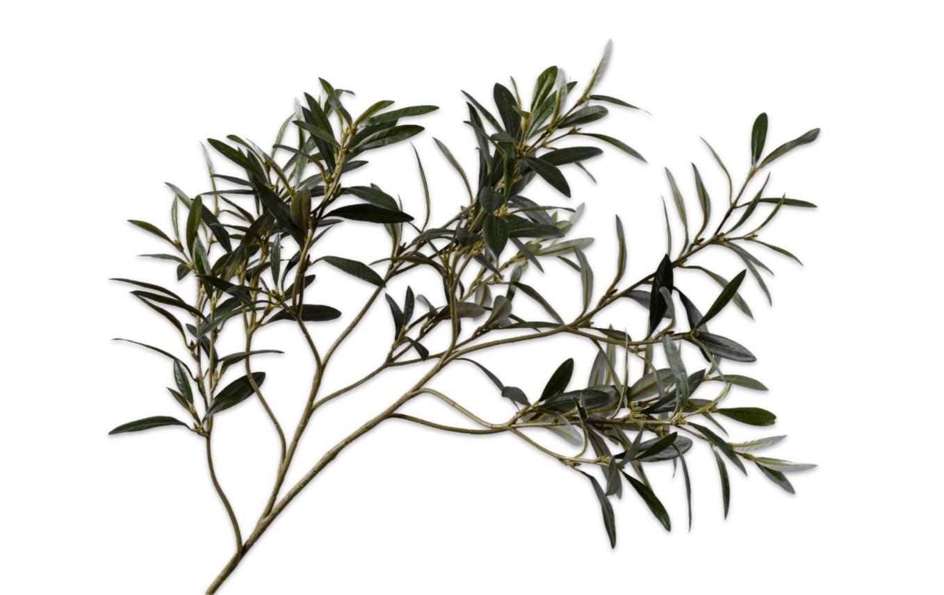 Olive Spray, Grøn 90 cm / Silkeblomst