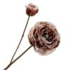 Ranunculus Spray, Brun 62 cm / Silkeblomst