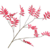 Leaf Spray / Silkeblomster