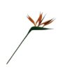 Strelitzia Stem , Grøn/Orange / Silkeblomst